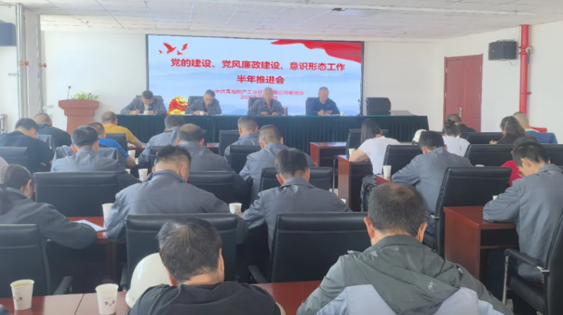 工投公司黨委召開黨的建設(shè)、黨風(fēng)廉政建設(shè)、意識形態(tài)工作半年推進(jìn)會